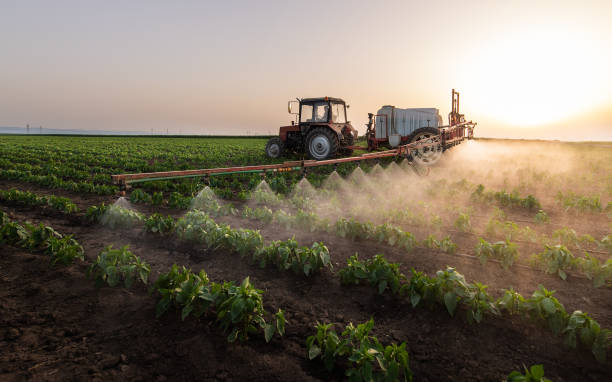 Best Mosquito Control Services  in Plattsburg, MO