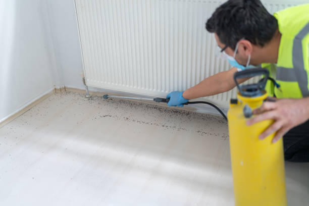 Best Best Pest Control Companies  in Plattsburg, MO