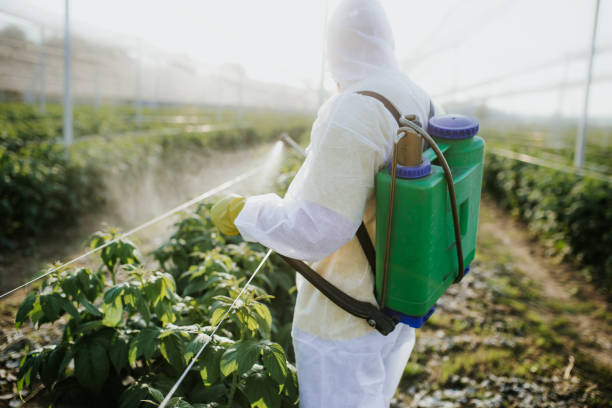 Best Commercial Pest Control Services  in Plattsburg, MO